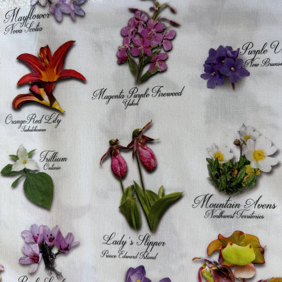 White cotton fabric with colorful botanical flower print and handwritten names from Canadian Road Trip collection by Hoffman