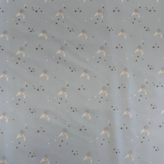 Light blue moon stars cotton fabric Little Ducklings by Paper and Cloth for Moda