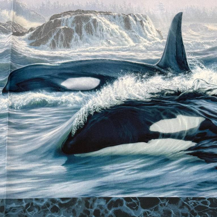 Northcott Naturescapes Voyage orca cotton fabric panel featuring killer whales swimming through blue ocean waves.