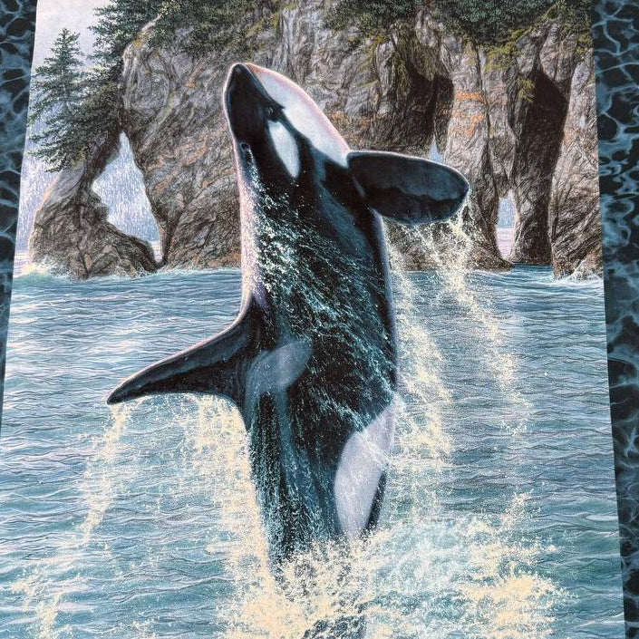 Northcott Naturescapes Voyage orca cotton fabric panel featuring killer whales swimming through blue ocean waves.